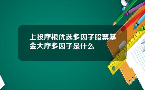 上投摩根优选多因子股票基金大摩多因子是什么