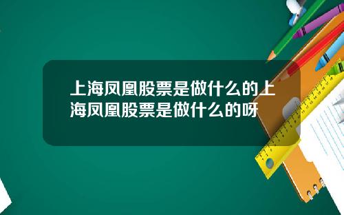 上海凤凰股票是做什么的上海凤凰股票是做什么的呀