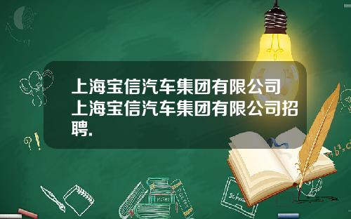 上海宝信汽车集团有限公司上海宝信汽车集团有限公司招聘.