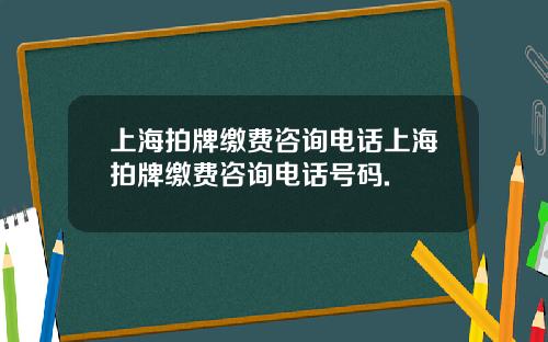 上海拍牌缴费咨询电话上海拍牌缴费咨询电话号码.