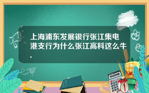 上海浦东发展银行张江集电港支行为什么张江高科这么牛.