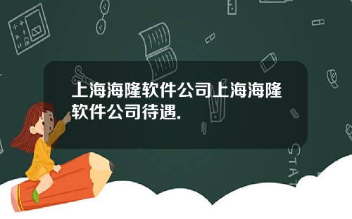 上海海隆软件公司上海海隆软件公司待遇.