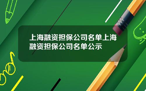 上海融资担保公司名单上海融资担保公司名单公示