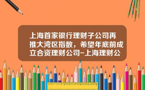 上海首家银行理财子公司再推大湾区指数，希望年底前成立合资理财公司-上海理财公司