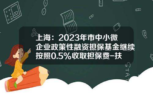 上海：2023年市中小微企业政策性融资担保基金继续按照0.5%收取担保费-扶贫担保基金