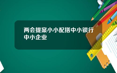 两会提案小小配搭中小银行中小企业