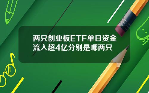 两只创业板ETF单日资金流入超4亿分别是哪两只