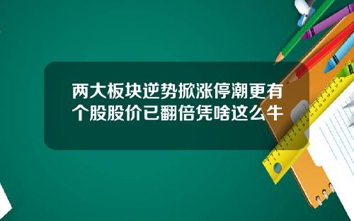 两大板块逆势掀涨停潮更有个股股价已翻倍凭啥这么牛