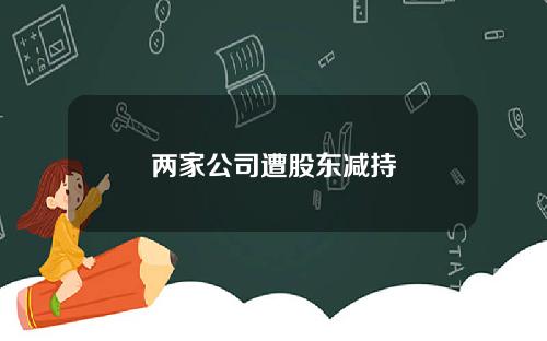 两家公司遭股东减持