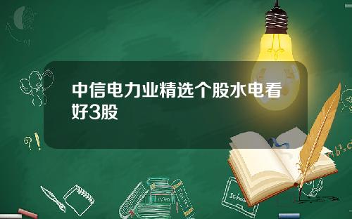 中信电力业精选个股水电看好3股