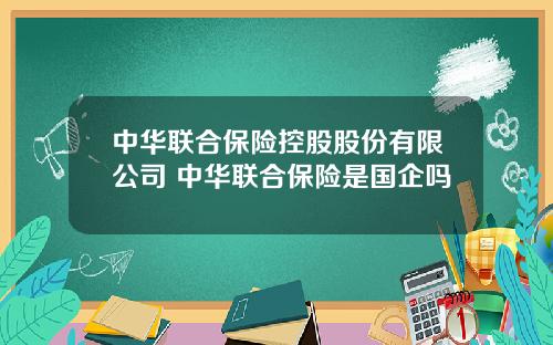 中华联合保险控股股份有限公司 中华联合保险是国企吗