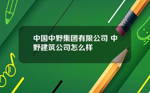 中国中野集团有限公司 中野建筑公司怎么样