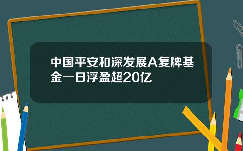 中国平安和深发展A复牌基金一日浮盈超20亿