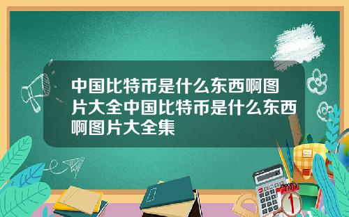 中国比特币是什么东西啊图片大全中国比特币是什么东西啊图片大全集