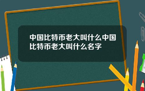 中国比特币老大叫什么中国比特币老大叫什么名字