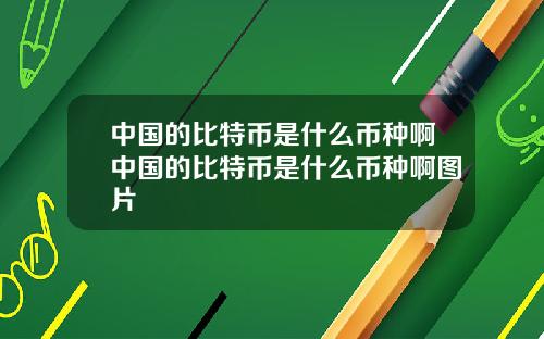 中国的比特币是什么币种啊中国的比特币是什么币种啊图片