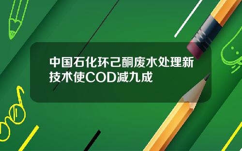 中国石化环己酮废水处理新技术使COD减九成