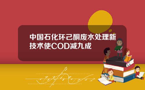 中国石化环己酮废水处理新技术使COD减九成