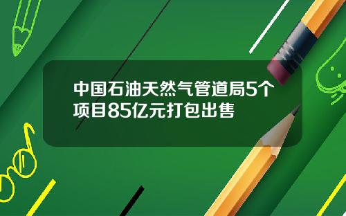 中国石油天然气管道局5个项目85亿元打包出售