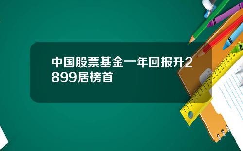 中国股票基金一年回报升2899居榜首