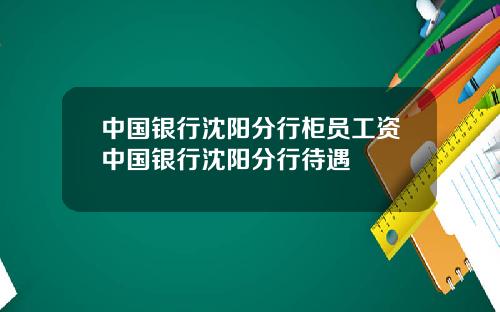 中国银行沈阳分行柜员工资中国银行沈阳分行待遇