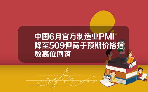 中国6月官方制造业PMI降至509但高于预期价格指数高位回落