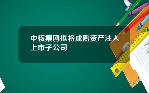 中核集团拟将成熟资产注入上市子公司