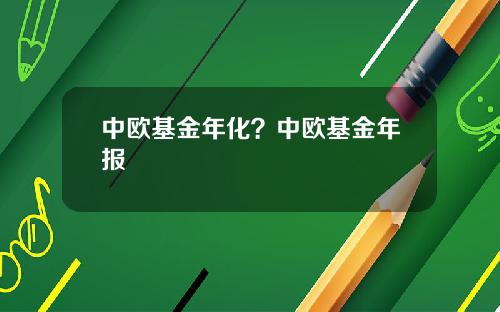 中欧基金年化？中欧基金年报