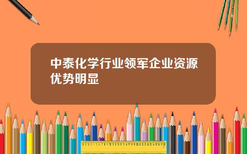 中泰化学行业领军企业资源优势明显