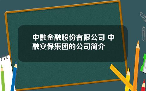 中融金融股份有限公司 中融安保集团的公司简介