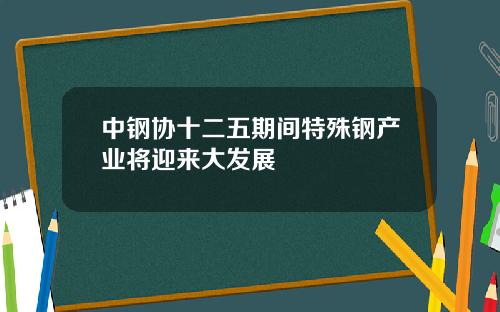 中钢协十二五期间特殊钢产业将迎来大发展