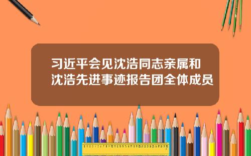 习近平会见沈浩同志亲属和沈浩先进事迹报告团全体成员