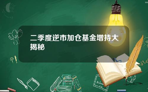 二季度逆市加仓基金增持大揭秘