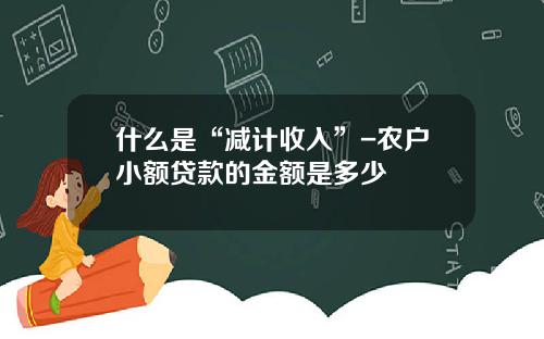 什么是“减计收入”-农户小额贷款的金额是多少