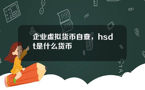 企业虚拟货币自查，hsdt是什么货币