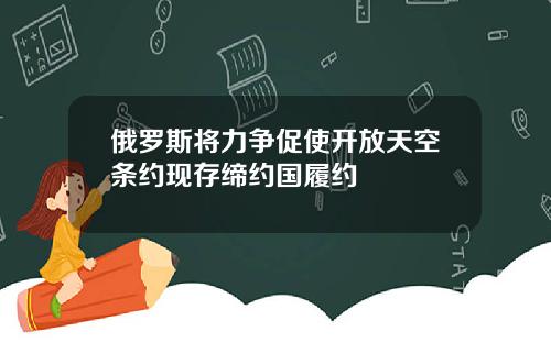 俄罗斯将力争促使开放天空条约现存缔约国履约