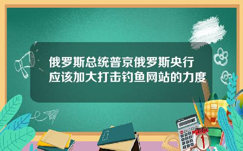 俄罗斯总统普京俄罗斯央行应该加大打击钓鱼网站的力度