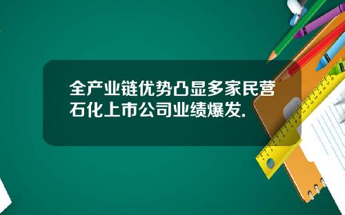 全产业链优势凸显多家民营石化上市公司业绩爆发.