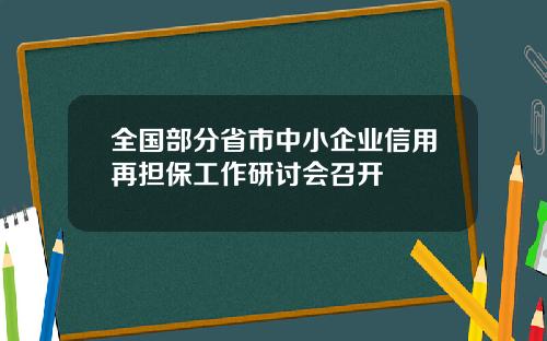 全国部分省市中小企业信用再担保工作研讨会召开