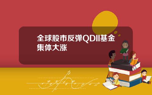 全球股市反弹QDII基金集体大涨