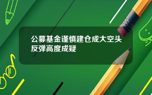 公募基金谨慎建仓成大空头反弹高度成疑