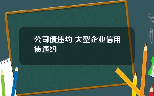 公司债违约 大型企业信用债违约