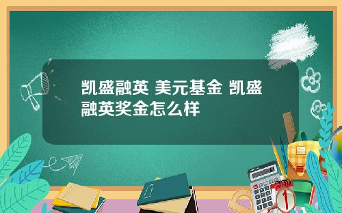 凯盛融英 美元基金 凯盛融英奖金怎么样