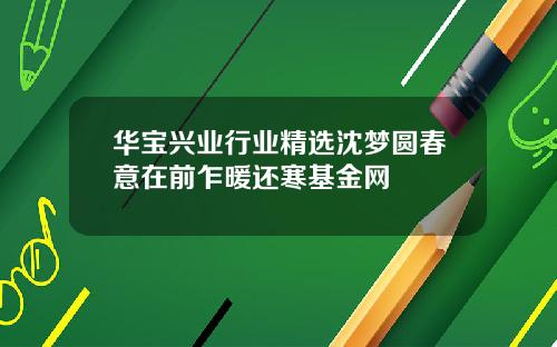 华宝兴业行业精选沈梦圆春意在前乍暖还寒基金网