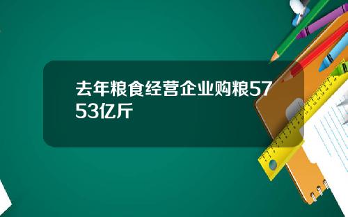 去年粮食经营企业购粮5753亿斤