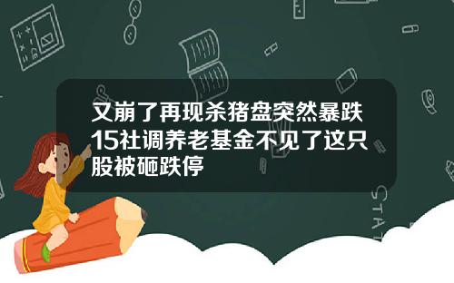 又崩了再现杀猪盘突然暴跌15社调养老基金不见了这只股被砸跌停