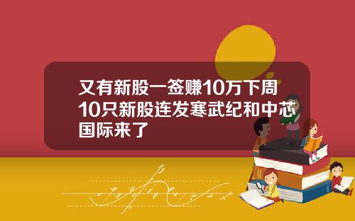 又有新股一签赚10万下周10只新股连发寒武纪和中芯国际来了