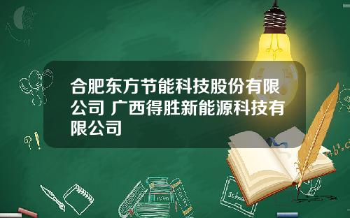 合肥东方节能科技股份有限公司 广西得胜新能源科技有限公司