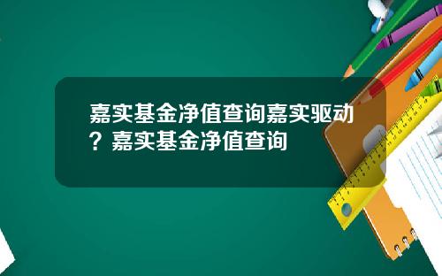 嘉实基金净值查询嘉实驱动？嘉实基金净值查询