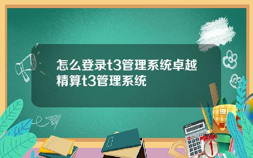 怎么登录t3管理系统卓越精算t3管理系统